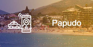 numero radio taxi papudo