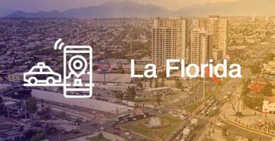 numeros telefono radio taxi la florida