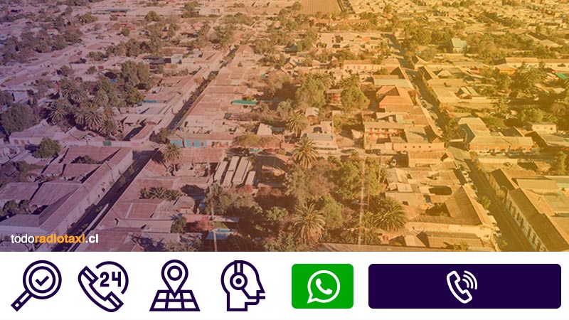 radio taxi vicu&ntilde;a